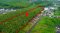 Golden Opportunity for Small & Mid-Sized Investors! 5+ Rai of Development Land in Klaeng, Rayong Ready for Your Next Project!