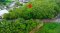 Golden Opportunity for Small & Mid-Sized Investors! 5+ Rai of Development Land in Klaeng, Rayong Ready for Your Next Project!
