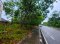 Golden Opportunity for Small & Mid-Sized Investors! 5+ Rai of Development Land in Klaeng, Rayong Ready for Your Next Project!
