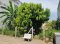 LAND FOR SALE IN THE HEART OF U THONG, SUPHAN BURI 40 SQ.WAH | YELLOW ZONING | FILLED LAND | PUBLIC ROAD FRONTAGE