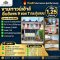 Townhouse for Sale Imm Amporn 9, Krathum Baen | 17.70 sq.wah | THB 1.25M