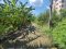 Last Chance! Land for Sale in Central Pathum Thani, Over 2 Rai, on Pathum Sai Nok Road, Priced at Appraised Value
