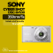 Sony Cyber-Shot DSC-W530