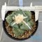 Ariocarpus lloydii x cauliflower