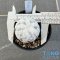 Mammillaria herrerae diamond