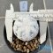 Mammillaria herrerae diamond