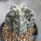 Astrophytum myriostigma cv. FUKURYU