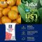 ปุ๋ยเคมียาร่า สูตร 25-7-7 (บำรุงต้น-ใบ)