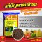 สารทำใบ ตราปลานิลทอง เร่งยอด เเตกใบ เร่งการบำรุงราก