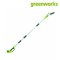 Greenworks Pole Saw 40V Including Battery and Charger
