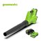 Greenworks เครื่องเป่าลม ขนาด 24V พร้อมแบตเตอรี่(4 แอมป์)และแท่นชาร์จ