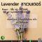 ลาเวนเดอร์ - Lavender Flavor