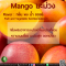 มะม่วง - Mango Flavor