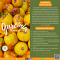สารสกัดส้มแขก - Garcinia Extract