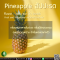 สัปปะรด - Pineapple Flavor