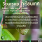 ทุเรียนเทศ - Soursop Flavor