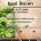 โหระพา - Basil Flavor