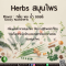 สมุนไพร - Herbs Flavor