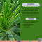 สารสกัดจากว่านหางจระเข้ - Aloe Vera Extract