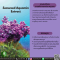 สารสกัดจากสาหร่าย Aquamin - Seaweed Aquamin Extract