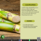 ต้นอ้อย - Sugar Cane Extract