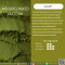 MB-001G Mixed Matcha