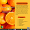 สารสกัดจากส้ม - Orange Fruit Extract