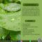 สารสกัดจากใบบัวบก - Centella asiatica  Leaf Extract