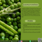 สารสกัดถั่วลันเตา - Pea Extract