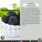 สารสกัดแบล็คเบอร์รี่ - Blackberry Extract