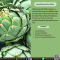 สารสกัดอาร์ติโชค - Artichoke Extract