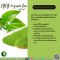 สารคาเทชินในชาเขียว - EGCG in green tea Extract