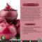 สารสกัดหัวหอมแดง - Onion Extract / Shallot  Extract