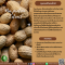 สารสกัดจากถั่วพี - Pea Protein Extract