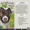 นมแพะ - Goat Milk Extract