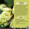 สารสกัดฮอปส์ - Hops Extract