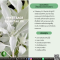 น้ำมันหอมระเหยจากเสจขาว-WHITE SAGE ESSENTIAL OIL