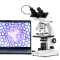 (B100-MS-3PL) B100 Series Biological Binocular Compound LED Microscope w/ Mechanical Stage