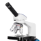 (M620C-EUL-3PL) M620 Series LED Monocular Compound Microscope w/ Mechanical Stage