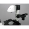(IN480TC-3PL) N480 Series Inverted Phase-Contrast Trinocular Compound Microscope Infinity- Corrected, Kohler Illumination