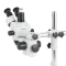 (SM-3T-3PL) SM-3 Series Zoom Trinocular Stereo Microscope on Single Arm Boom Stand