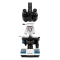 (T120C-3PL) T120 Series LED Trinocular Compound Microscope 40x-2500x Magnification