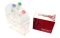 BioFact™ RT-Kit (M-MLV, RNase H-), RTase,Reaction Buffer (include each 10mM dNTP), 8 mM DTT, 10000U (200U/ul)