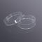 Petri dish