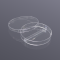 Petri dish