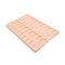 Plastic Slide Tray