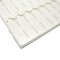 Plastic Slide Tray