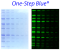 One-Step Blue® Protein Gel Stain, 1X