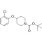 Tert-butyl 4-(2-chlorophenoxy)piperidine-1-carboxylate, 95+% (CAS.552868-10-7)