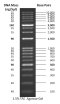 VersaLadder, 100-10,000 bp, 2x500 uL